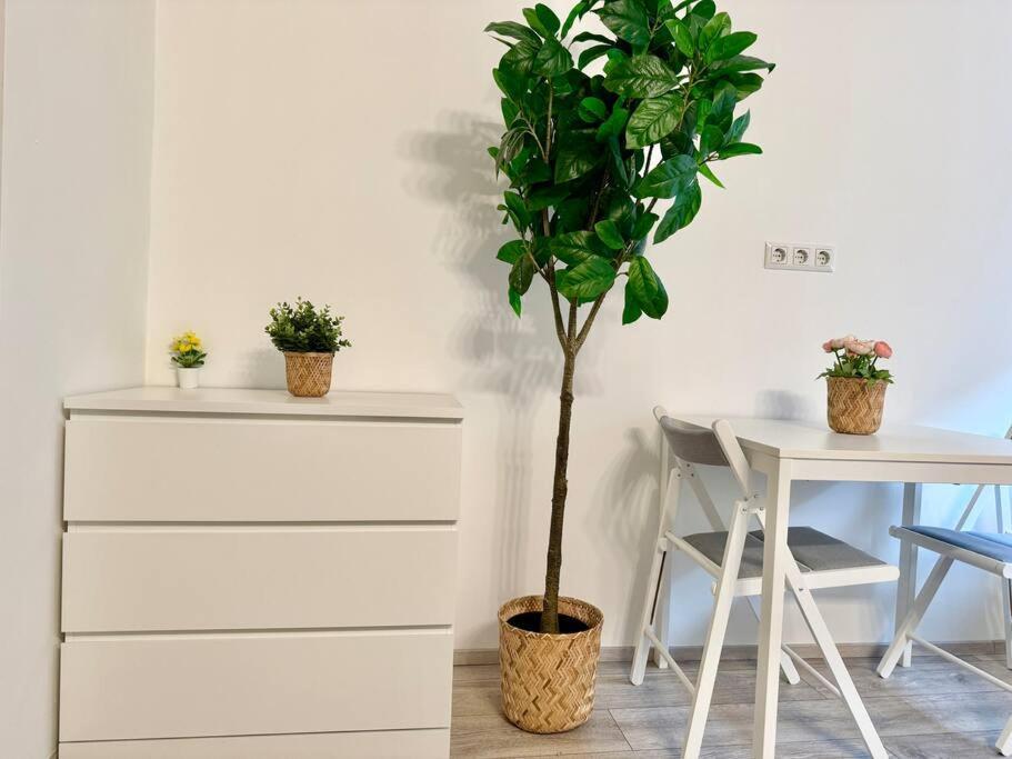Easy Suites - Free Underground Parking Vienna Esterno foto